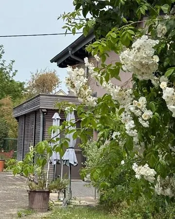 Ruhiges Ferienhaeuschen In Rheinhessen - Ruths Wohlfuehlort Apartment